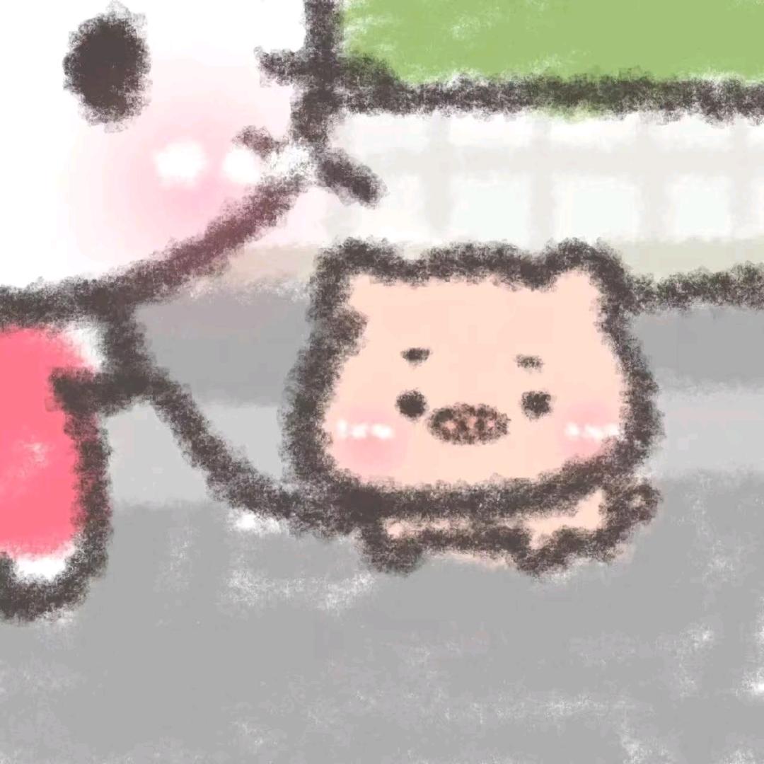 猪🐷