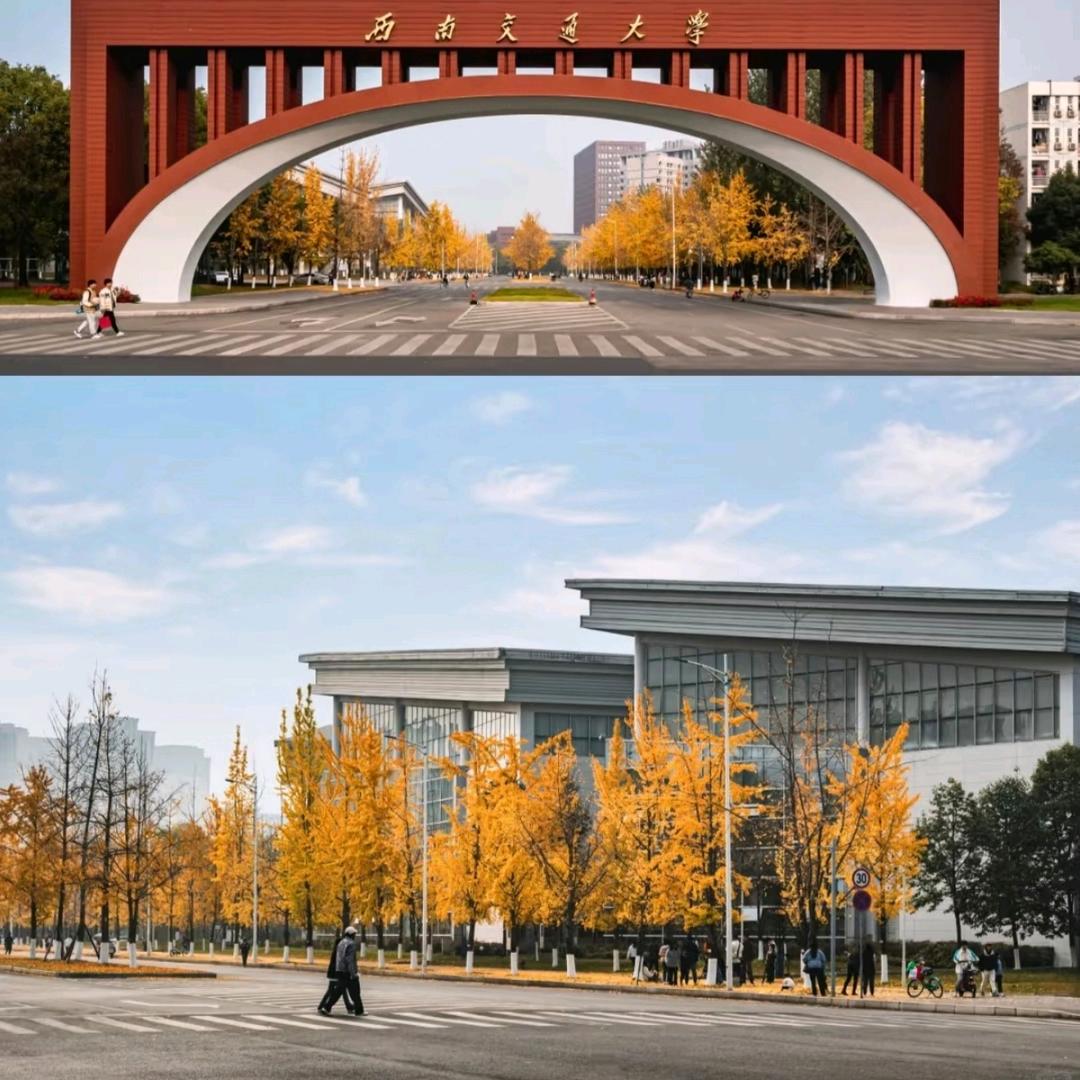 初升高择校陈老师