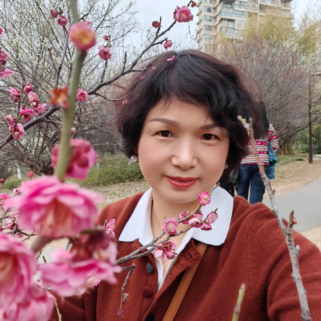 阳光小草