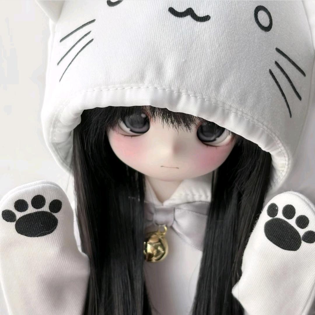 缅因猫