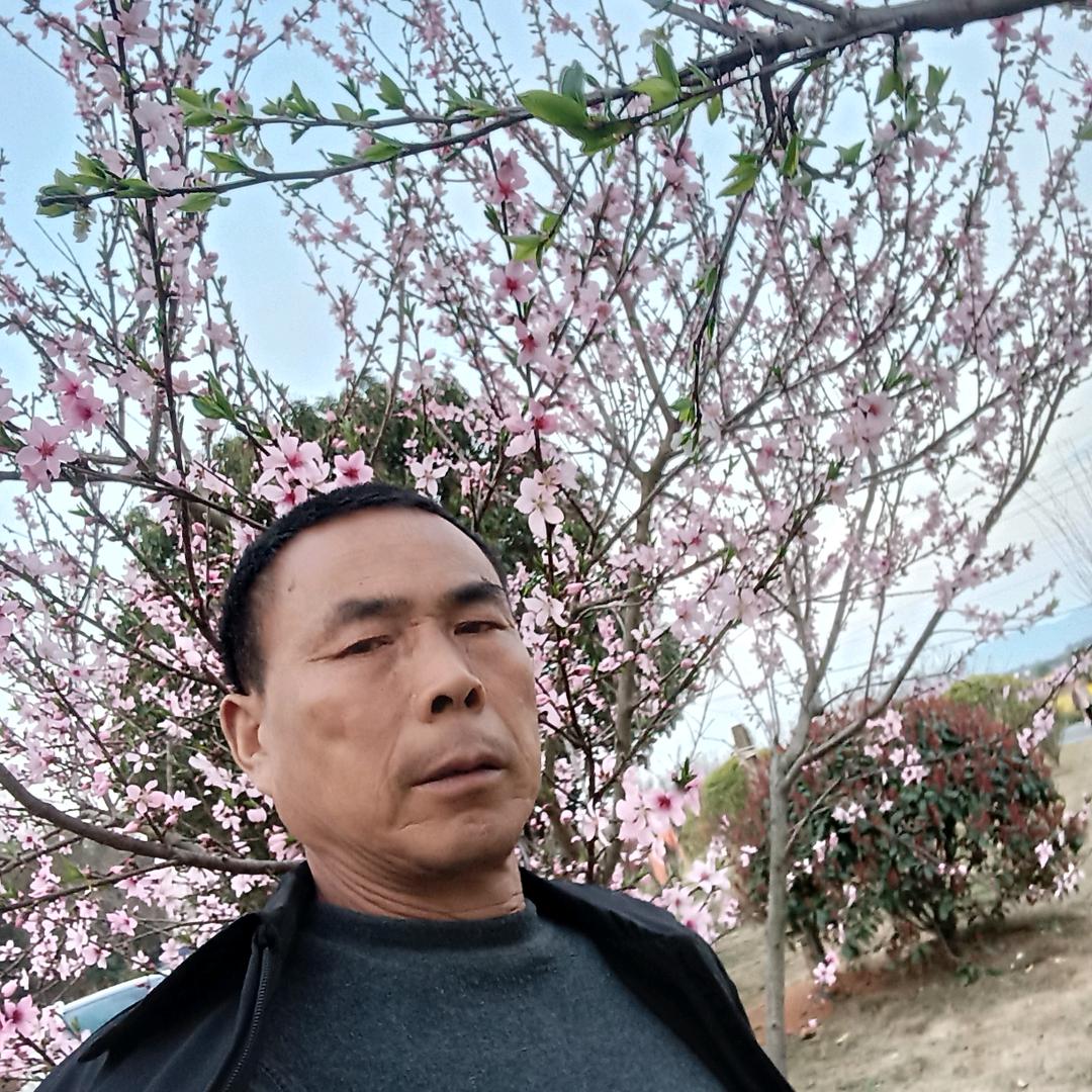 拼搏🎤