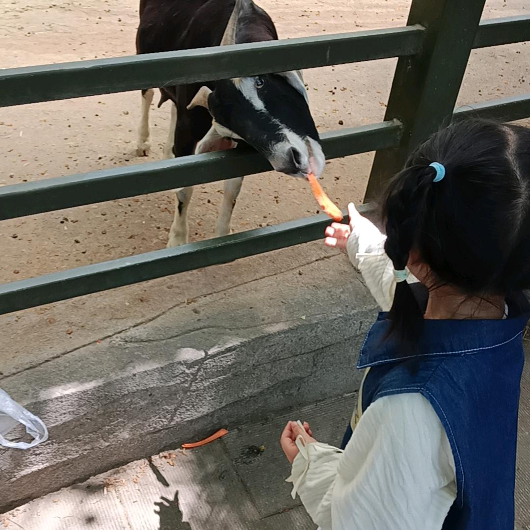 细雨萌萌