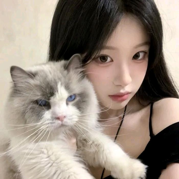 好运是一只猫🍀