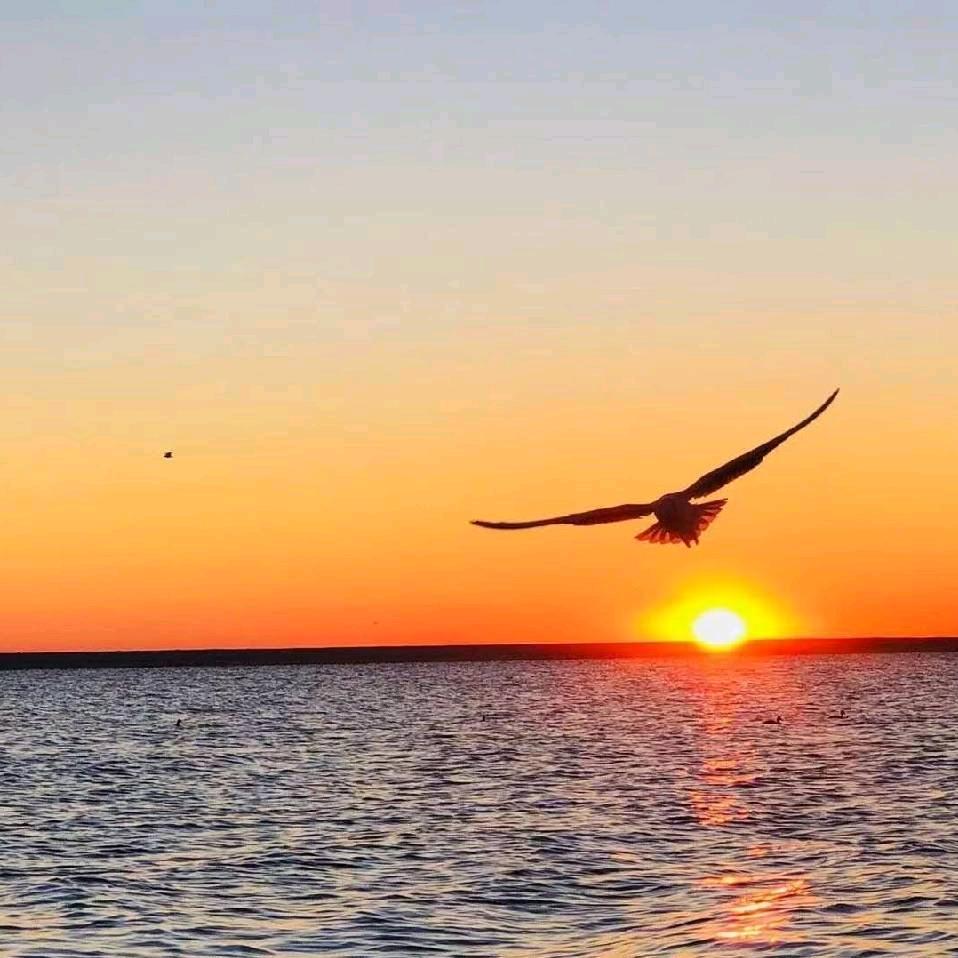 清禾小满（好物在橱窗）