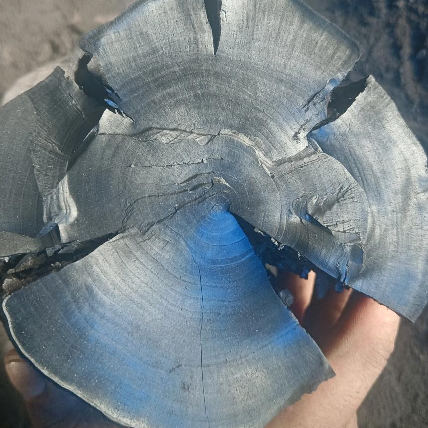 果木炭厂家直销