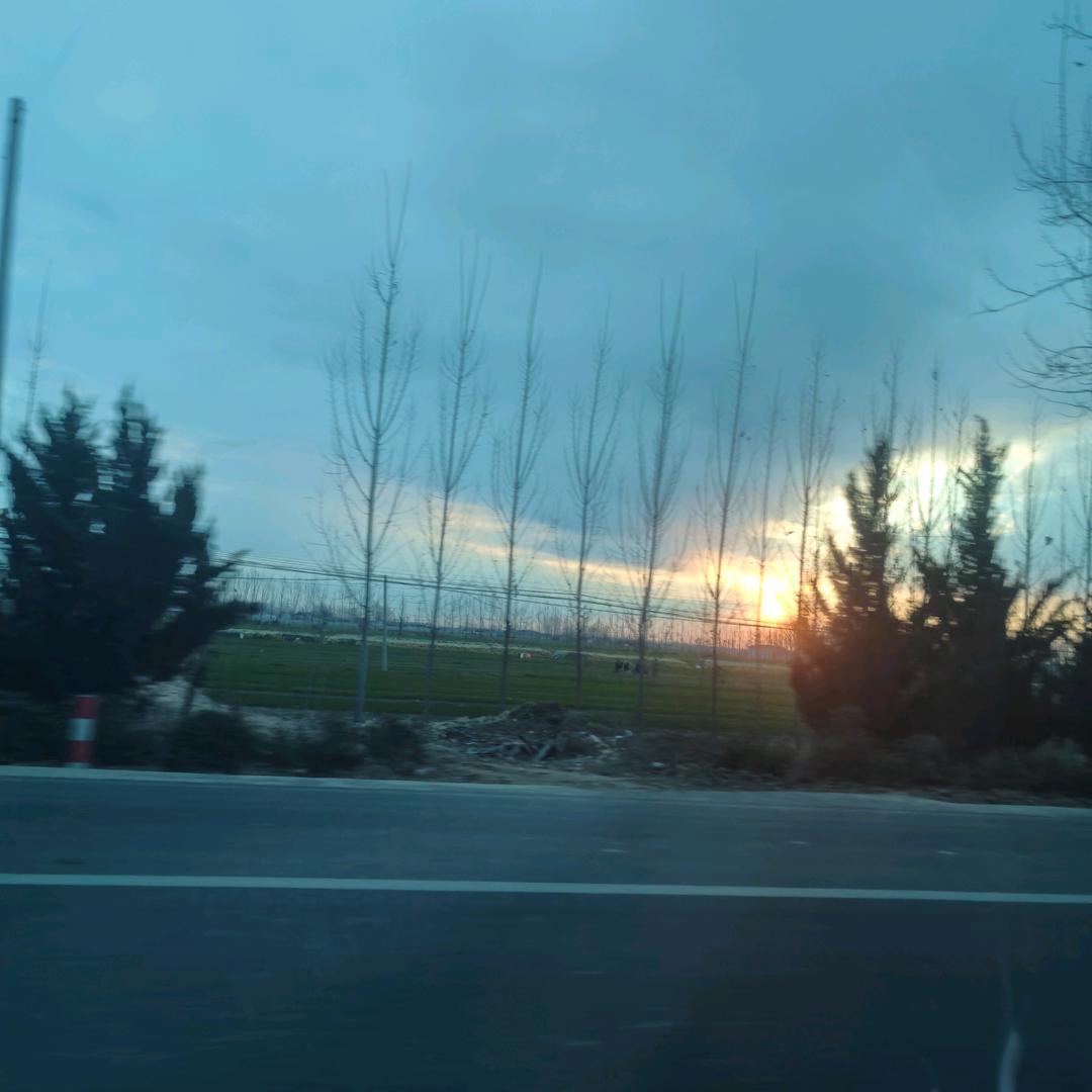 临清特色美食代购