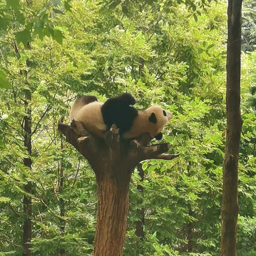 🍀🍀🍀🍀🍀🍀🍀🍀🍀🍀