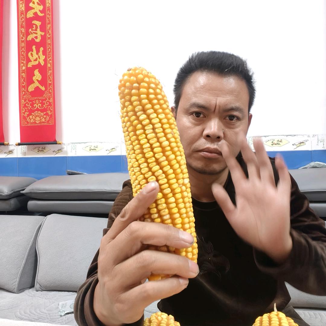 成智农资