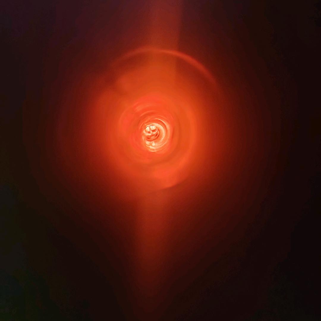 梁山伯与猪硬来