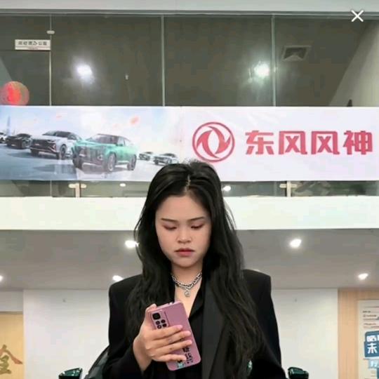 钦州东风风神小喜