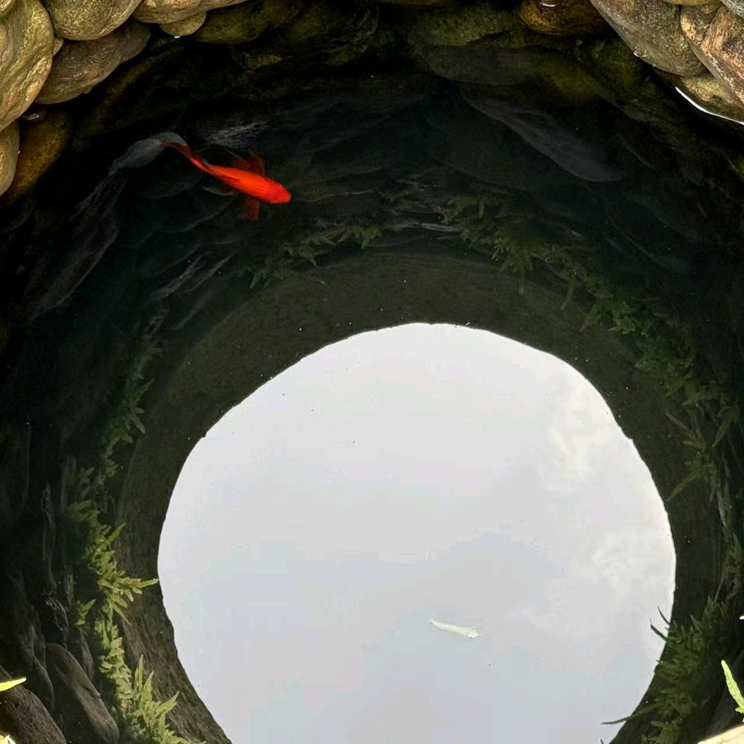 雨斩水