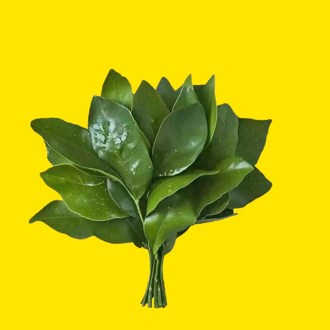 向阳花