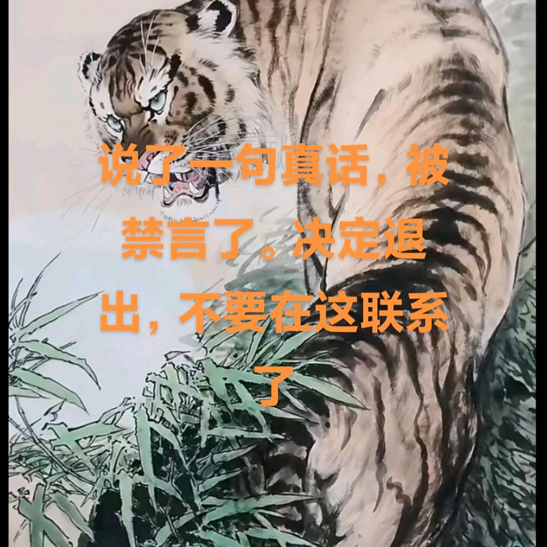 进哥