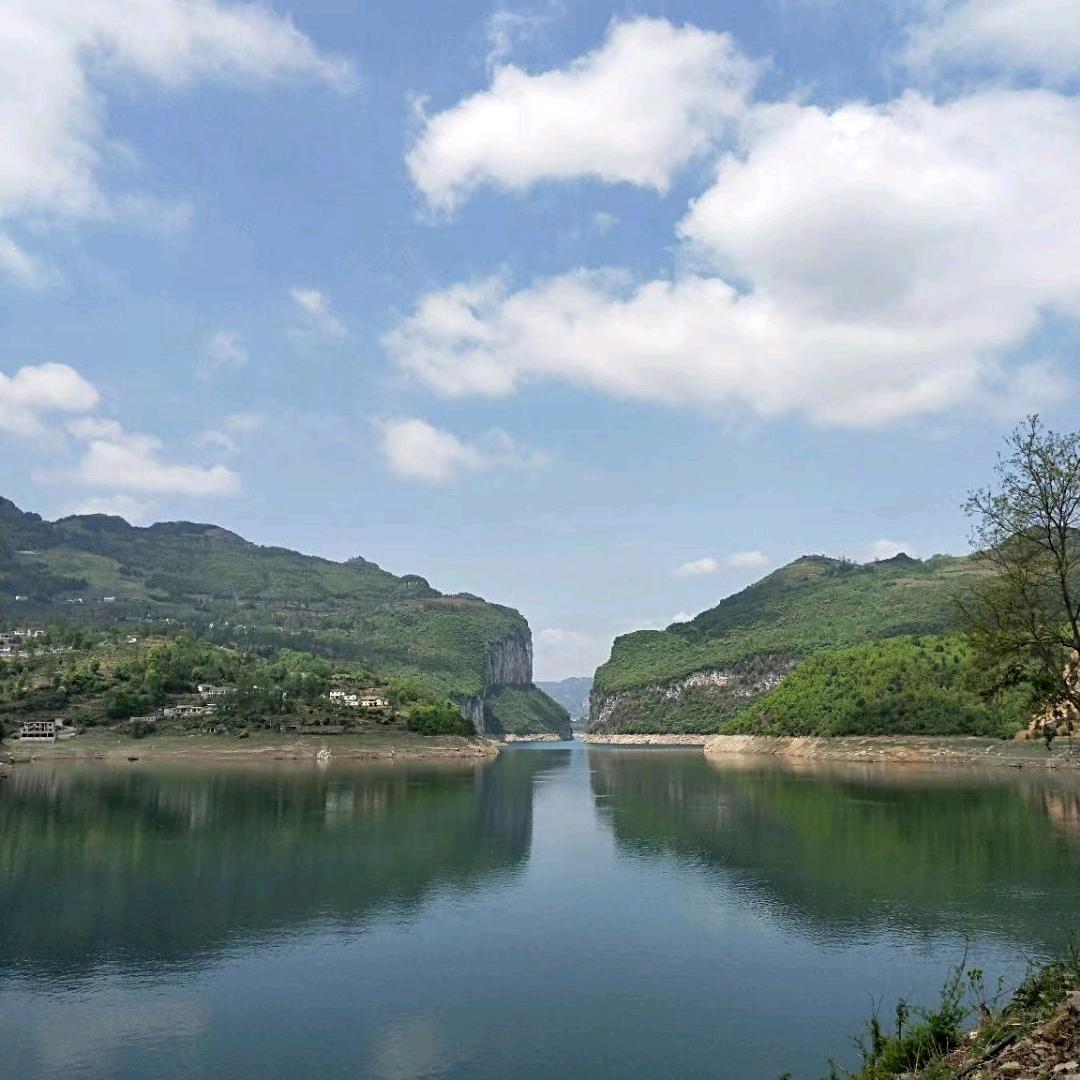 泡泡