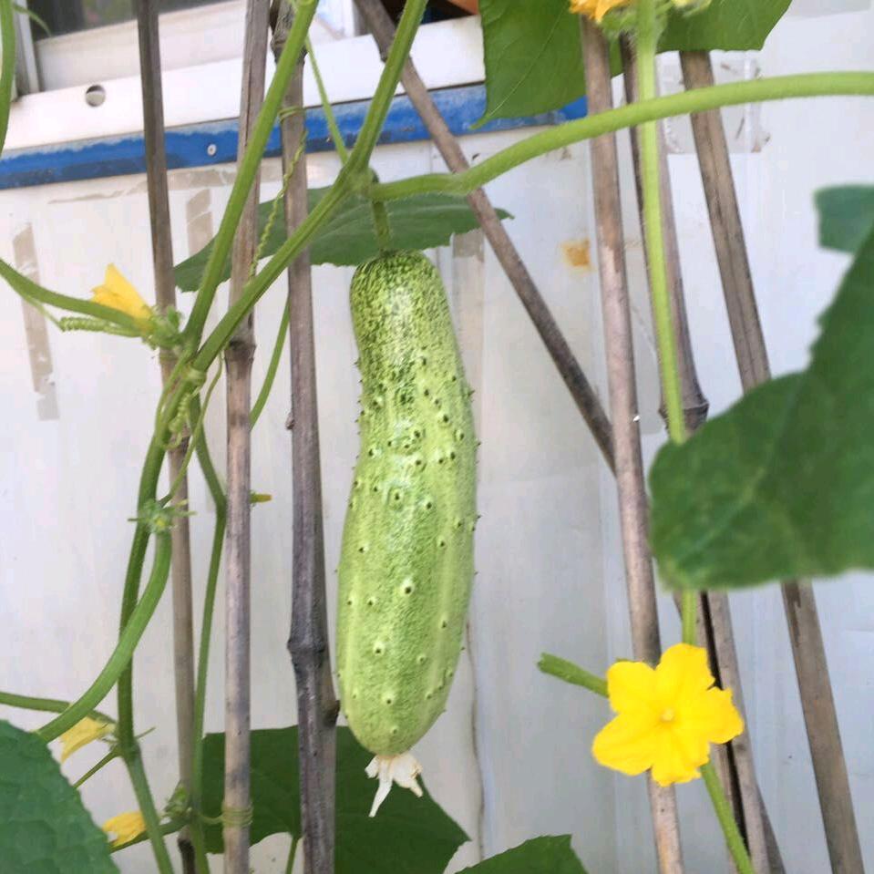 @听雨故事汇
