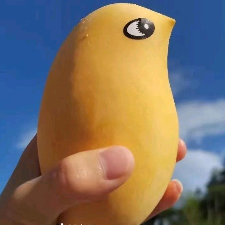 莉儿