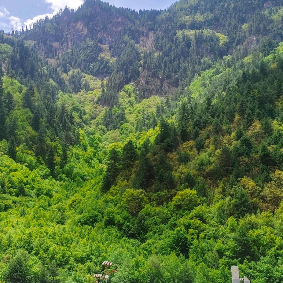 💞删除꧔ꦿ᭄过往꧔ꦿ᭄💞