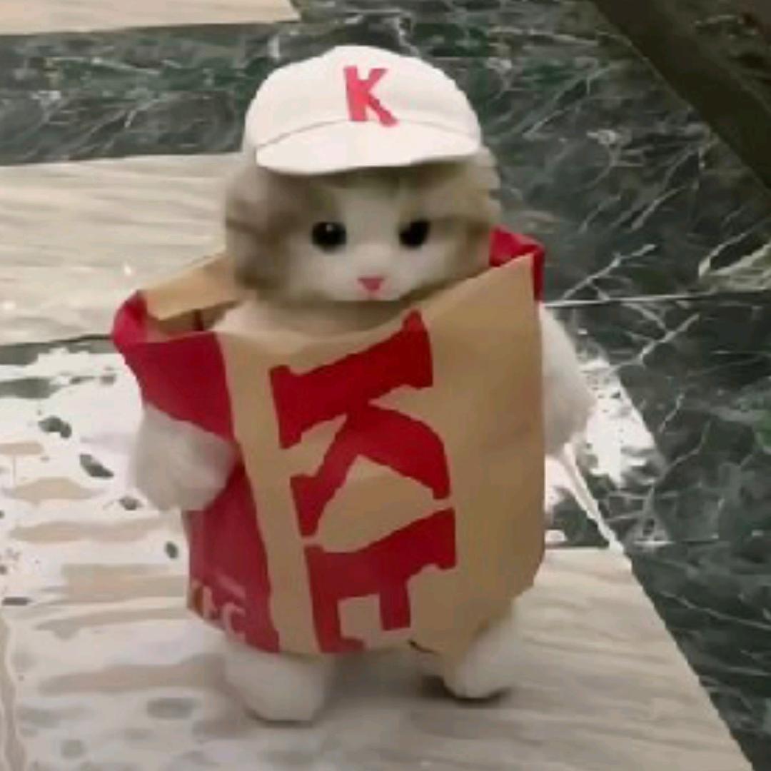 是羊不是羊