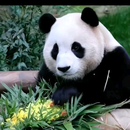 安静做自己