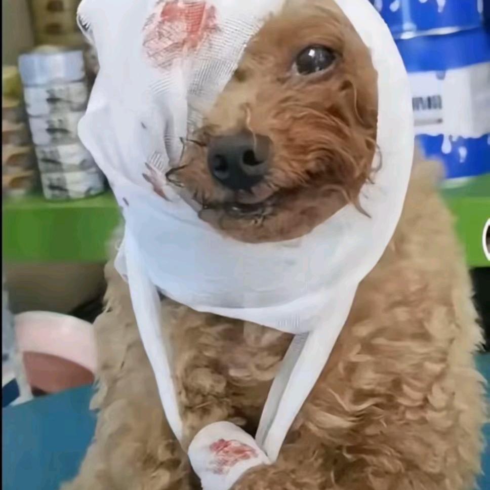 ㅤㅤ ㅤㅤ ㅤㅤㅤㅤ ㅤㅤ ㅤㅤㅤㅤ ㅤ