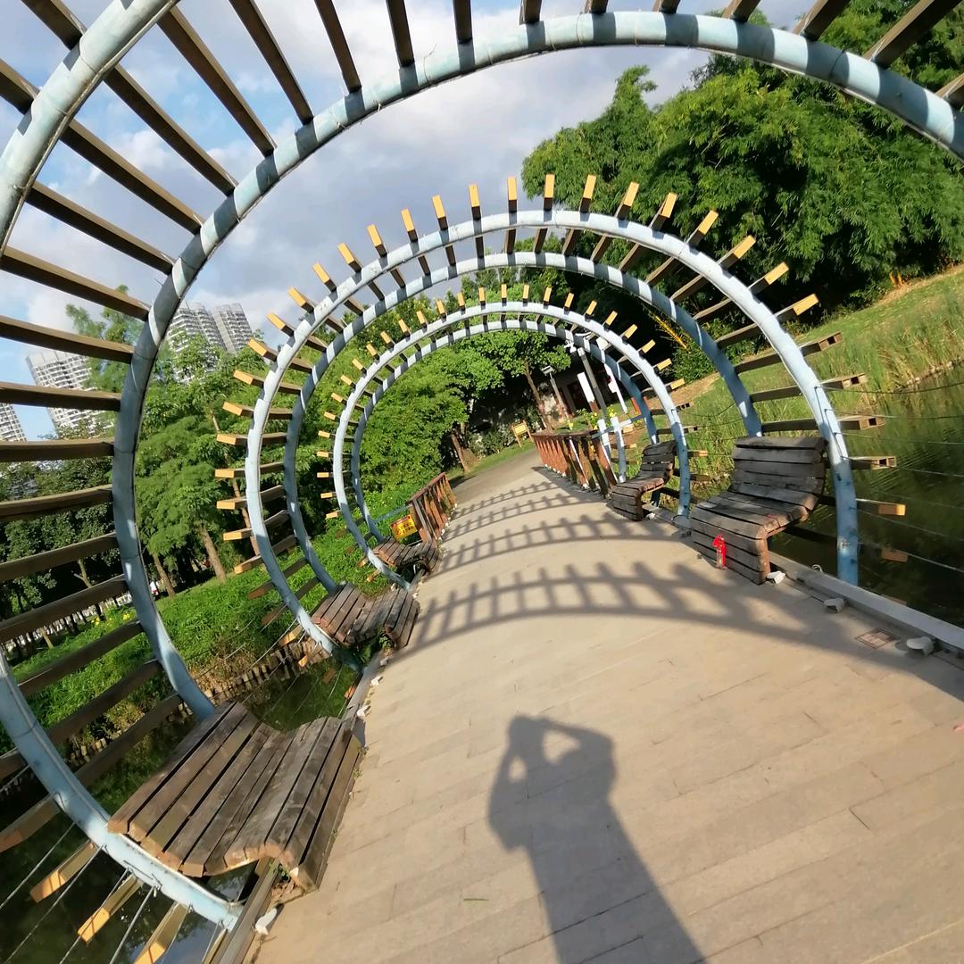 终于成了夜猫子