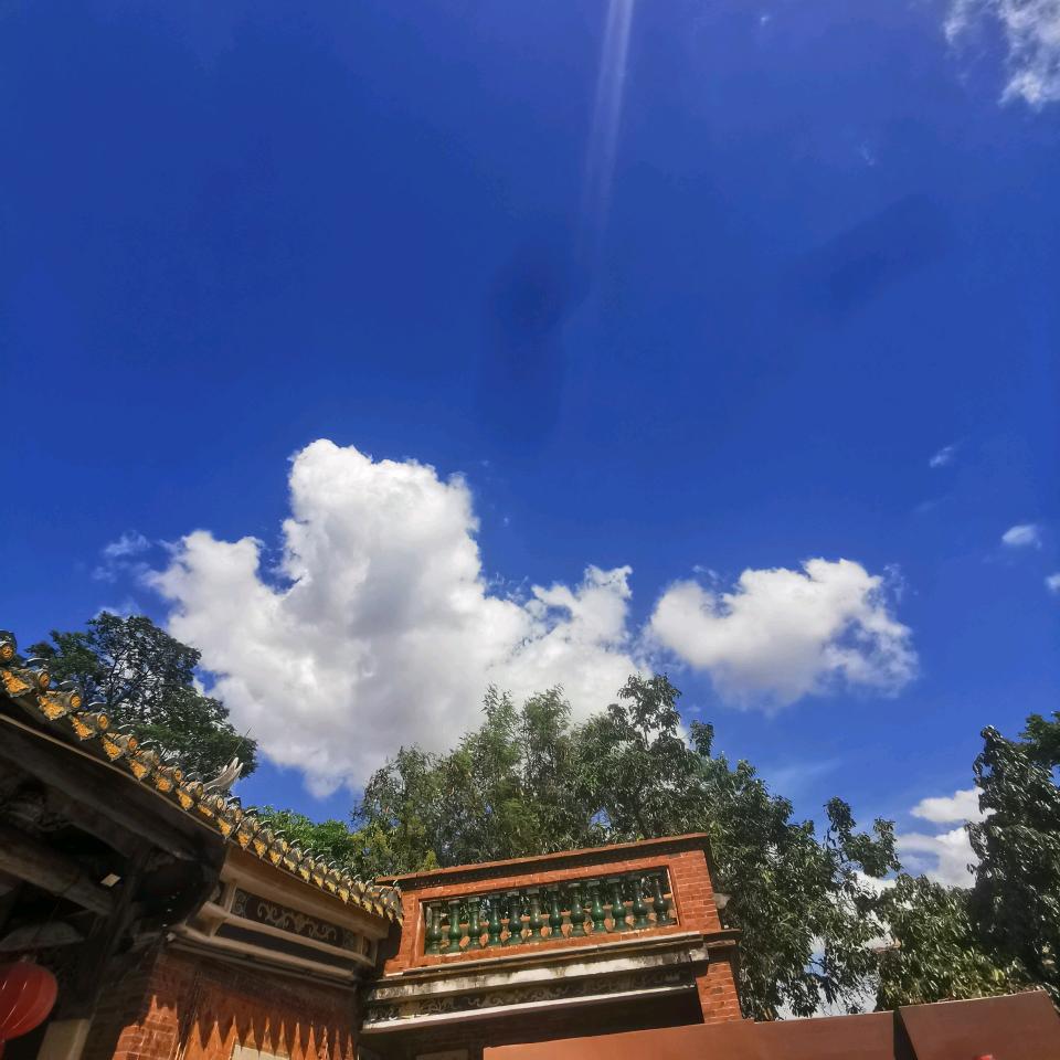 真