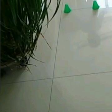 看淡所有