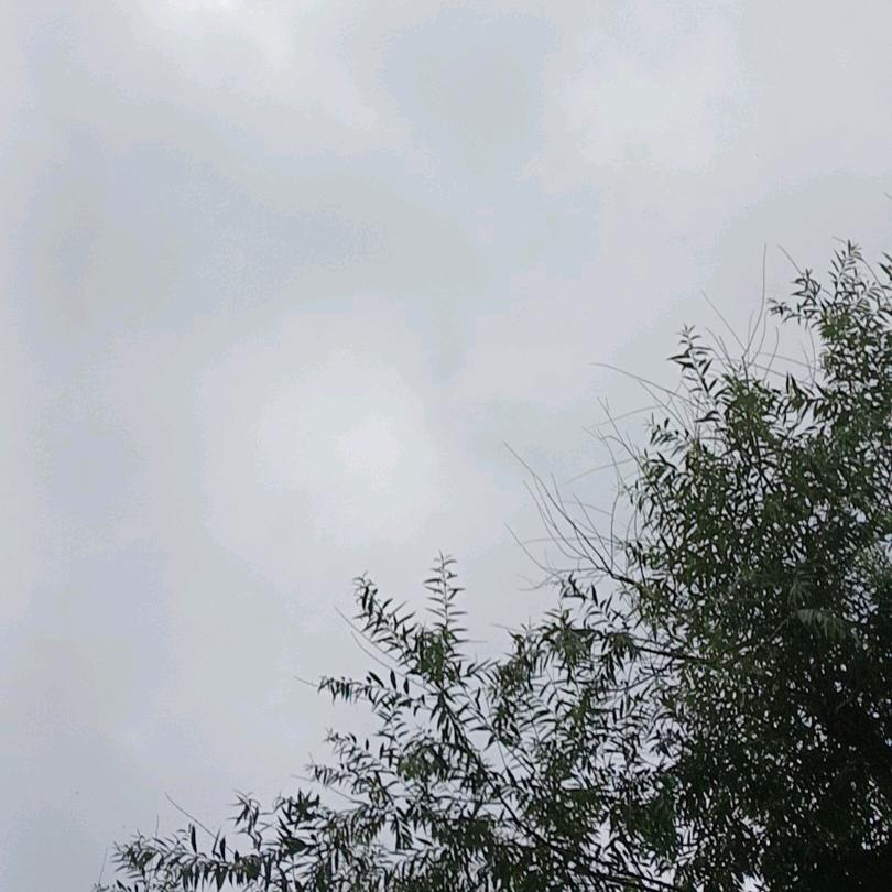 我的世界，不再有你。