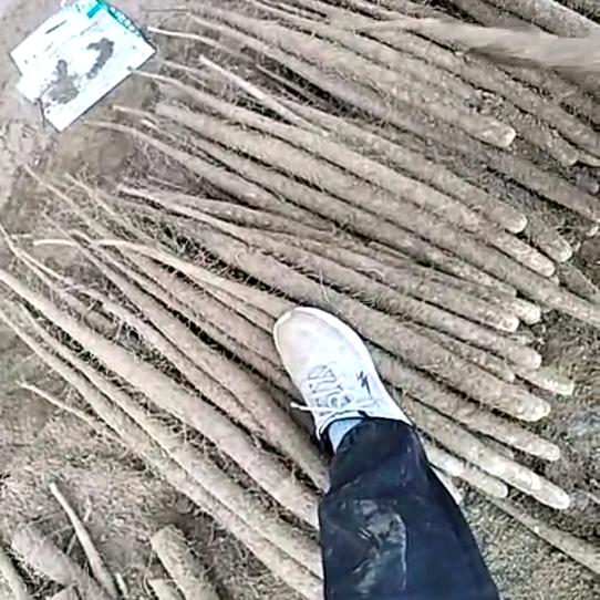 小何优选农产品