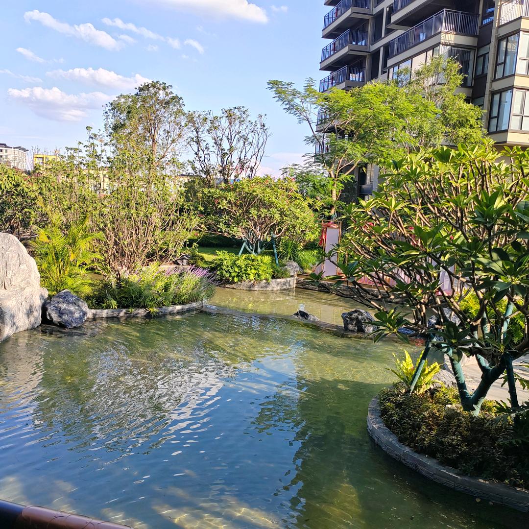 天空2