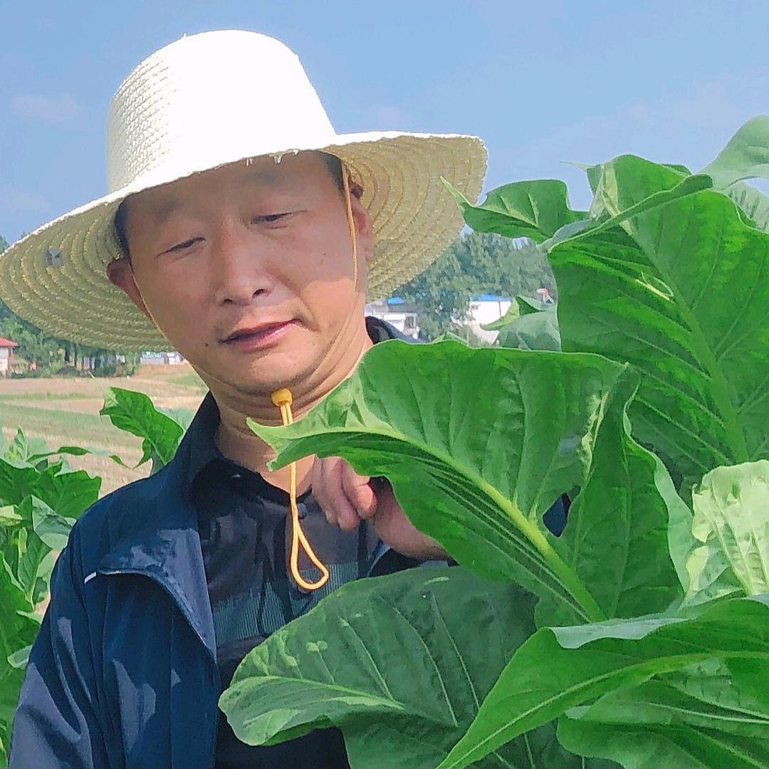 富奥种业农资技术服务