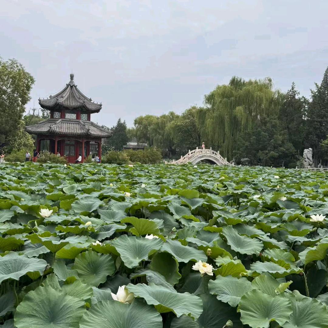 浪迹天涯