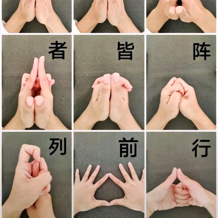 番茄炒西红柿ʕっ•ᴥ•ʔっ🍅