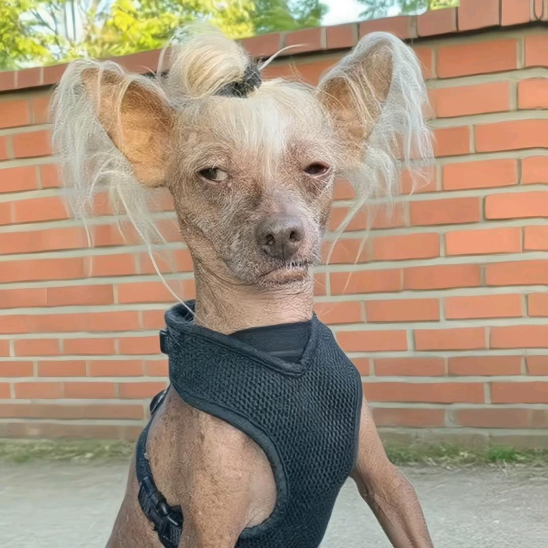 A.