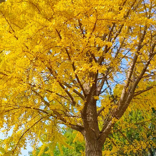 握不住的沙🌵拒私聊