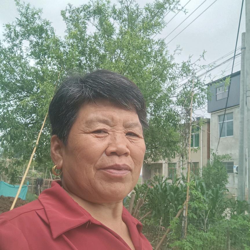华姐