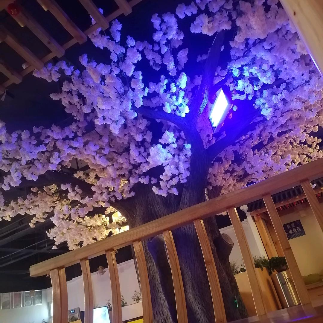 独宠