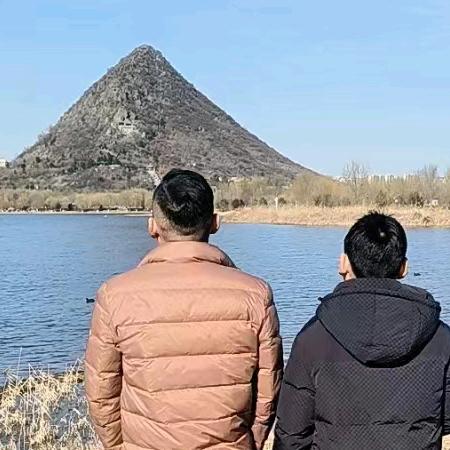 聊城李飞贴砖