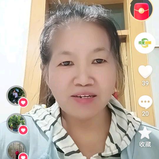 红花