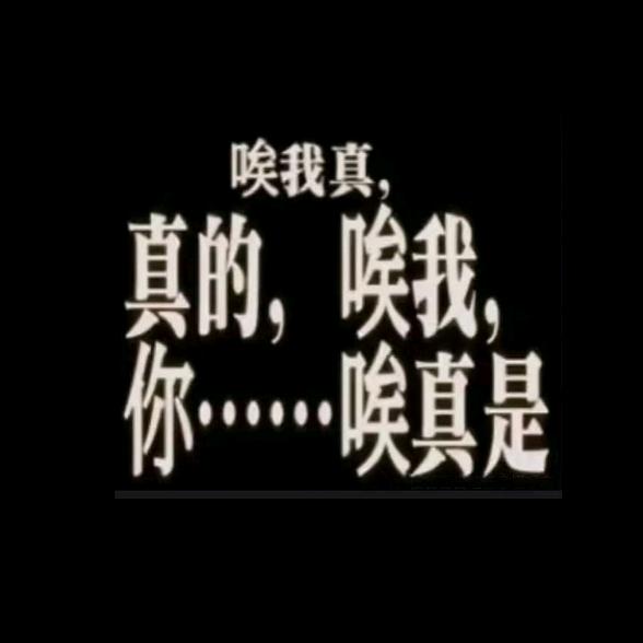 夏岚岚蓝
