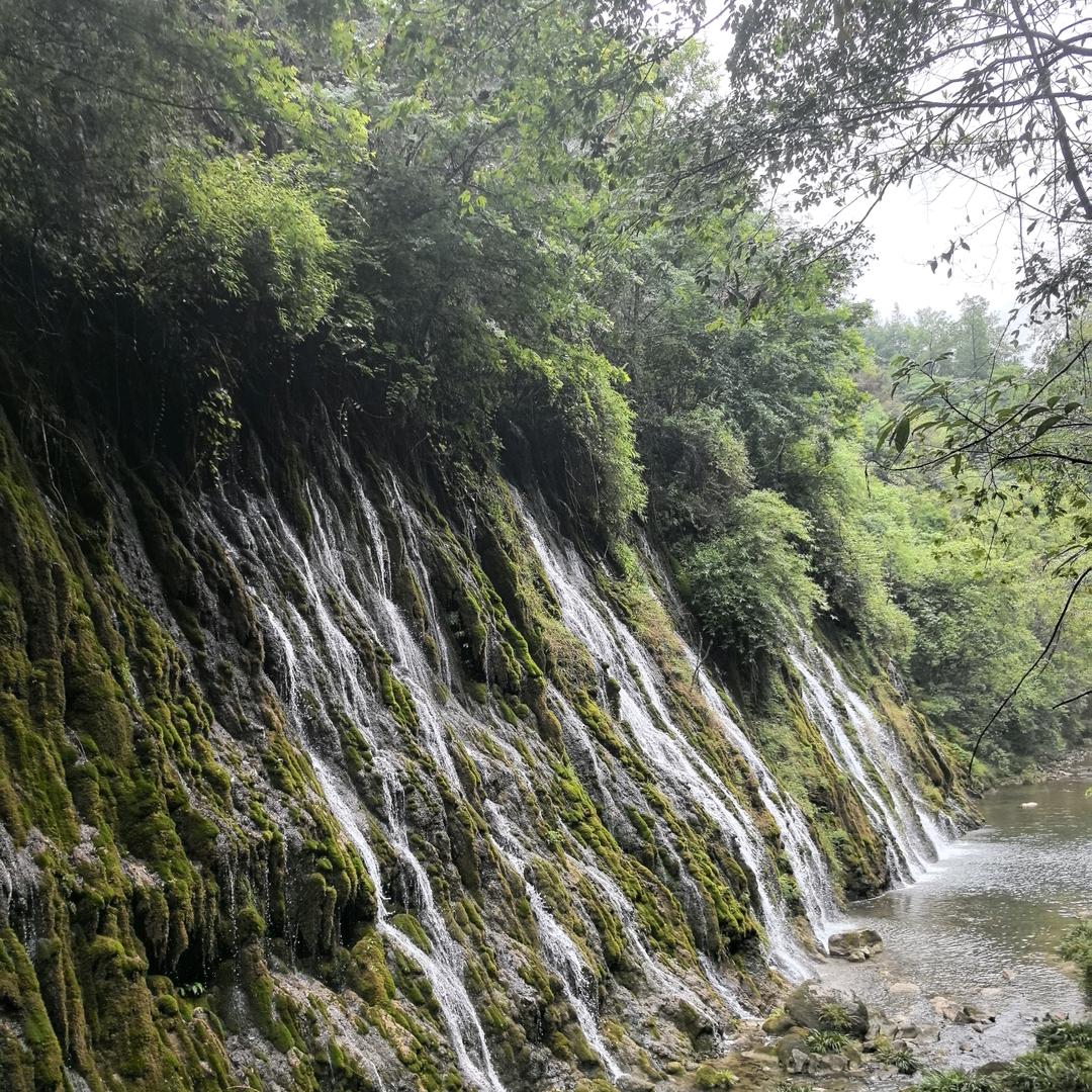 骑虎上山