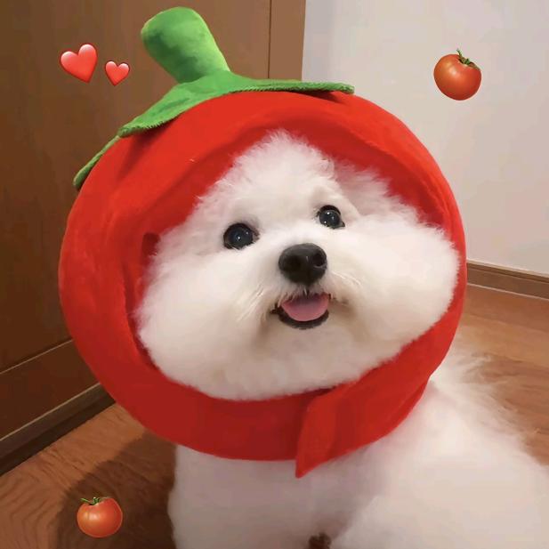 冰不冰