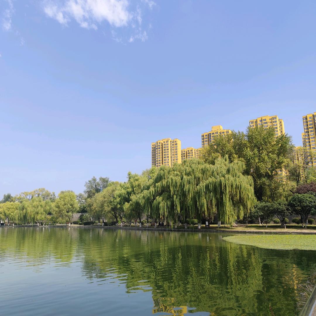 李育英（商洛舞神二姐）