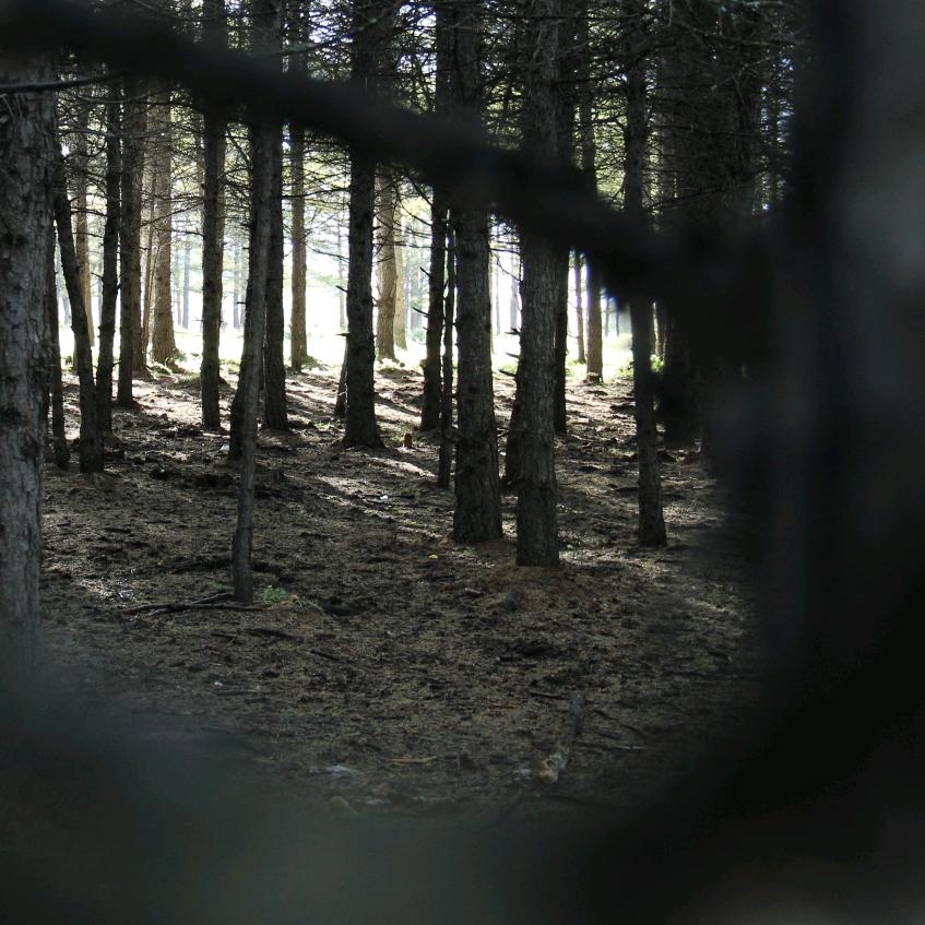 吃葡萄不吐葡萄