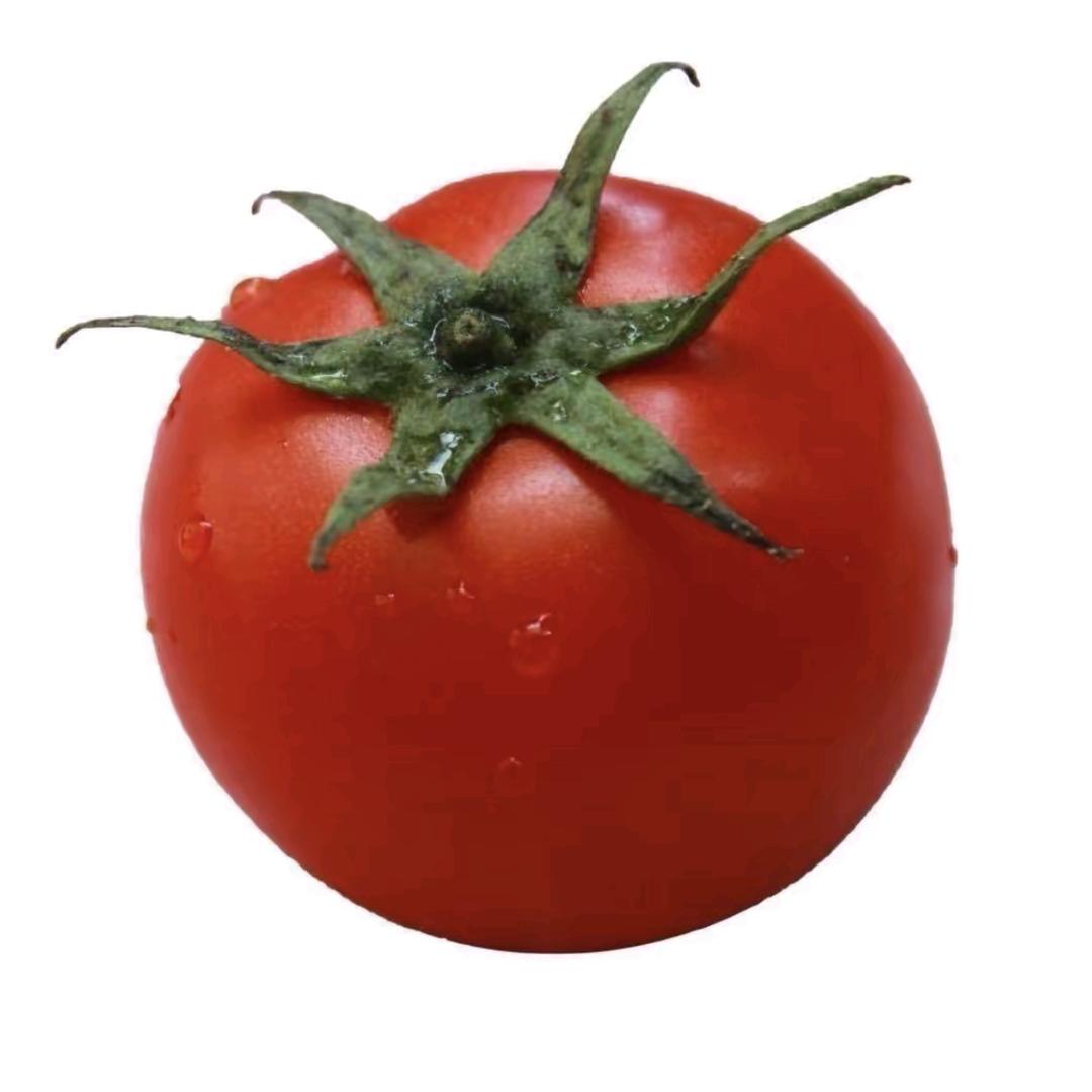 西红柿炒番茄🍅
