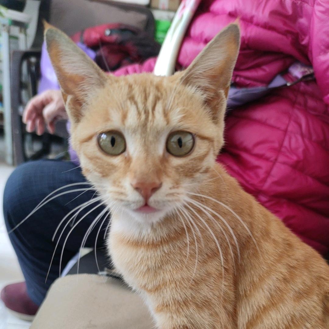 怀来皇冠假日酒店导购