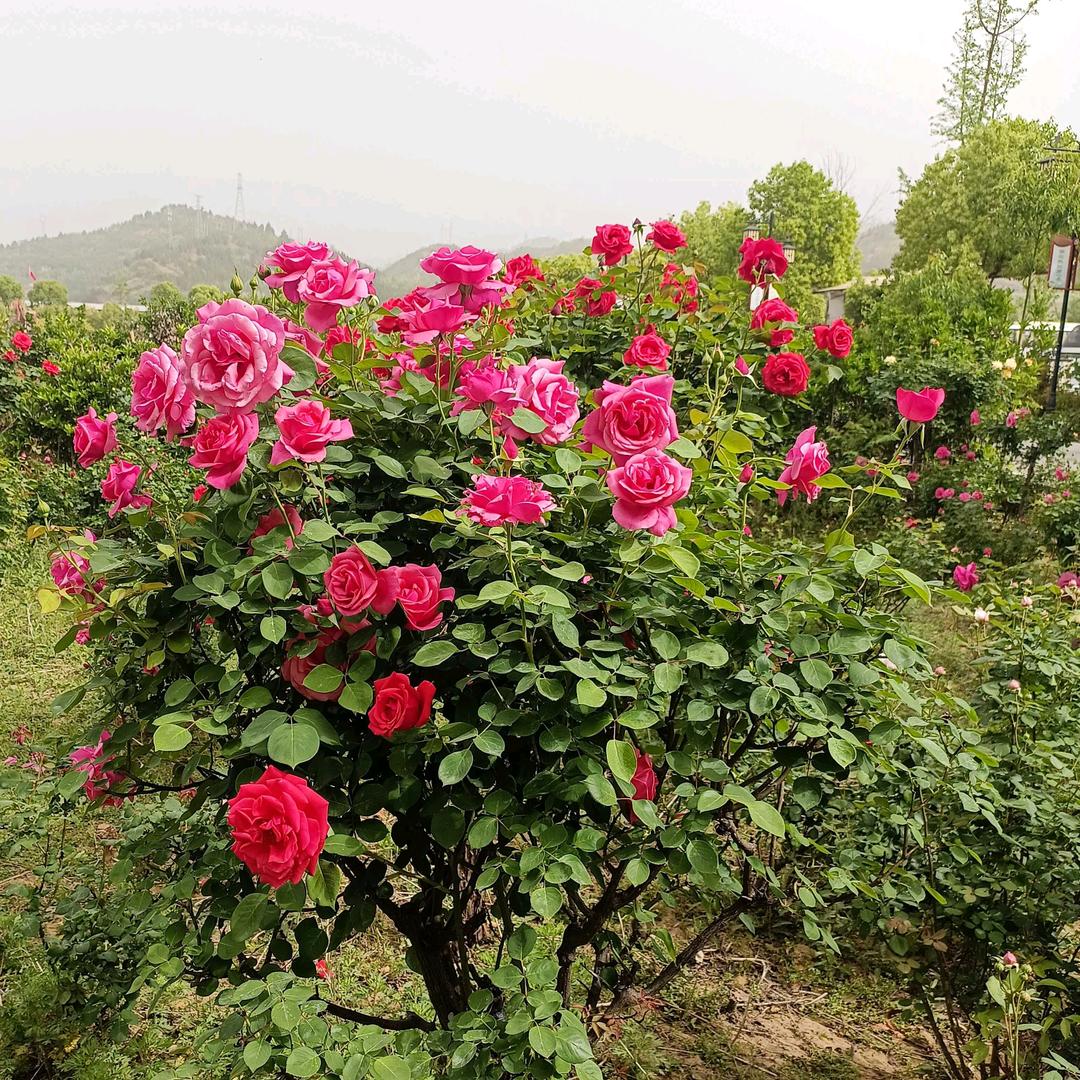 💘静候缘来💘