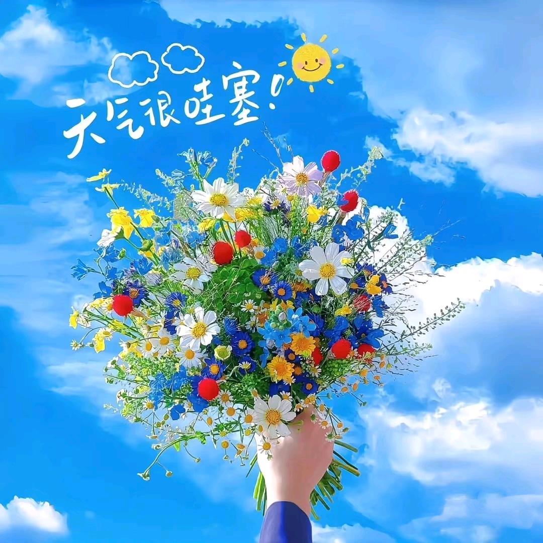 棉花蛋卷