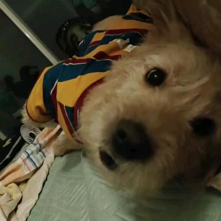 🌈杨小妮🌈