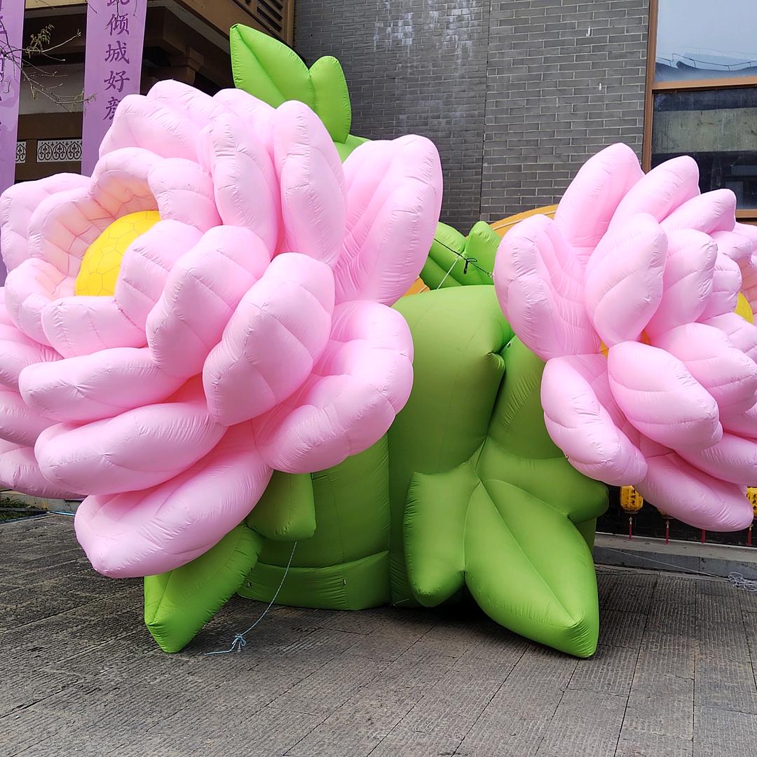 🌹小幸运🌾🌾